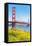 View of Golden Gate Bridge, San Francisco, California, North America-Marco Simoni-Framed Stretched Canvas