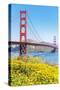 View of Golden Gate Bridge, San Francisco, California, North America-Marco Simoni-Stretched Canvas