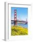 View of Golden Gate Bridge, San Francisco, California, North America-Marco Simoni-Framed Photographic Print