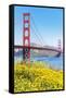 View of Golden Gate Bridge, San Francisco, California, North America-Marco Simoni-Framed Stretched Canvas