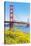 View of Golden Gate Bridge, San Francisco, California, North America-Marco Simoni-Stretched Canvas