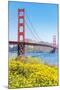 View of Golden Gate Bridge, San Francisco, California, North America-Marco Simoni-Mounted Photographic Print