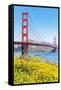 View of Golden Gate Bridge, San Francisco, California, North America-Marco Simoni-Framed Stretched Canvas