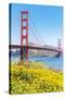 View of Golden Gate Bridge, San Francisco, California, North America-Marco Simoni-Stretched Canvas