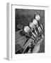 View of Golf Clubs-Bernard Hoffman-Framed Photographic Print