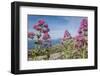 View of Golfo Di Bonagia from Erice-Guido Cozzi-Framed Photographic Print