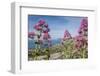 View of Golfo Di Bonagia from Erice-Guido Cozzi-Framed Photographic Print