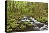 View of Gorton Creek, Columbia River Gorge, Oregon, USA-Jaynes Gallery-Stretched Canvas