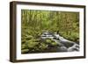 View of Gorton Creek, Columbia River Gorge, Oregon, USA-Jaynes Gallery-Framed Photographic Print