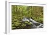 View of Gorton Creek, Columbia River Gorge, Oregon, USA-Jaynes Gallery-Framed Photographic Print