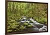 View of Gorton Creek, Columbia River Gorge, Oregon, USA-Jaynes Gallery-Framed Photographic Print