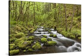 View of Gorton Creek, Columbia River Gorge, Oregon, USA-Jaynes Gallery-Stretched Canvas