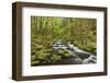 View of Gorton Creek, Columbia River Gorge, Oregon, USA-Jaynes Gallery-Framed Photographic Print