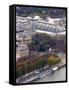 View of Grand Palais from Eiffel Tower, Paris, France-Lisa S. Engelbrecht-Framed Stretched Canvas