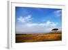 View of grassland habitat and acacia tree, Masai Mara, Kenya, August-Ben Sadd-Framed Photographic Print