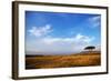 View of grassland habitat and acacia tree, Masai Mara, Kenya, August-Ben Sadd-Framed Photographic Print