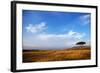 View of grassland habitat and acacia tree, Masai Mara, Kenya, August-Ben Sadd-Framed Photographic Print