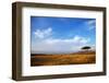 View of grassland habitat and acacia tree, Masai Mara, Kenya, August-Ben Sadd-Framed Photographic Print