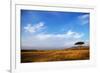 View of grassland habitat and acacia tree, Masai Mara, Kenya, August-Ben Sadd-Framed Photographic Print
