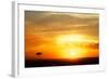 View of grassland habitat and acacia tree silhouetted at sunset, Masai Mara, Kenya, August-Ben Sadd-Framed Photographic Print