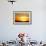 View of grassland habitat and acacia tree silhouetted at sunset, Masai Mara, Kenya, August-Ben Sadd-Framed Photographic Print displayed on a wall