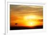 View of grassland habitat and acacia tree silhouetted at sunset, Masai Mara, Kenya, August-Ben Sadd-Framed Photographic Print