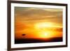 View of grassland habitat and acacia tree silhouetted at sunset, Masai Mara, Kenya, August-Ben Sadd-Framed Photographic Print