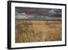 View of grassland habitat and distant mountains, with storm clouds in evening, New Mexico border-Bob Gibbons-Framed Photographic Print