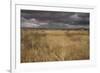View of grassland habitat and distant mountains, with storm clouds in evening, New Mexico border-Bob Gibbons-Framed Photographic Print