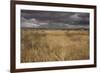 View of grassland habitat and distant mountains, with storm clouds in evening, New Mexico border-Bob Gibbons-Framed Photographic Print