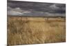 View of grassland habitat and distant mountains, with storm clouds in evening, New Mexico border-Bob Gibbons-Mounted Photographic Print