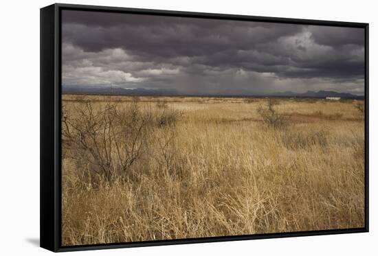 View of grassland habitat and distant mountains, with storm clouds in evening, New Mexico border-Bob Gibbons-Framed Stretched Canvas