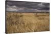 View of grassland habitat and distant mountains, with storm clouds in evening, New Mexico border-Bob Gibbons-Stretched Canvas