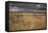 View of grassland habitat and distant mountains, with storm clouds in evening, New Mexico border-Bob Gibbons-Framed Stretched Canvas