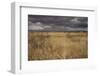 View of grassland habitat and distant mountains, with storm clouds in evening, New Mexico border-Bob Gibbons-Framed Photographic Print