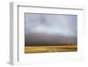 View of grassland habitat with stormclouds, Ol Pejeta Conservancy, Laikipia District, Kenya-Ben Sadd-Framed Photographic Print