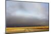 View of grassland habitat with stormclouds, Ol Pejeta Conservancy, Laikipia District, Kenya-Ben Sadd-Mounted Photographic Print