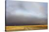 View of grassland habitat with stormclouds, Ol Pejeta Conservancy, Laikipia District, Kenya-Ben Sadd-Stretched Canvas