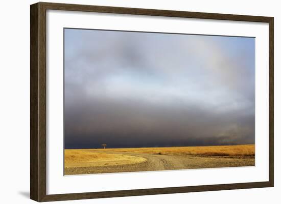 View of grassland habitat with stormclouds, Ol Pejeta Conservancy, Laikipia District, Kenya-Ben Sadd-Framed Photographic Print