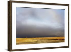 View of grassland habitat with stormclouds, Ol Pejeta Conservancy, Laikipia District, Kenya-Ben Sadd-Framed Photographic Print