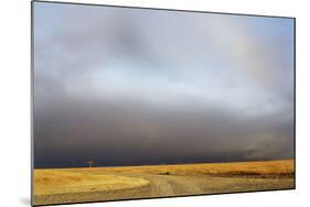 View of grassland habitat with stormclouds, Ol Pejeta Conservancy, Laikipia District, Kenya-Ben Sadd-Mounted Photographic Print