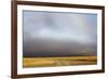 View of grassland habitat with stormclouds, Ol Pejeta Conservancy, Laikipia District, Kenya-Ben Sadd-Framed Photographic Print