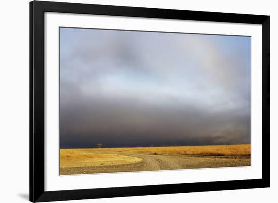 View of grassland habitat with stormclouds, Ol Pejeta Conservancy, Laikipia District, Kenya-Ben Sadd-Framed Photographic Print