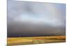View of grassland habitat with stormclouds, Ol Pejeta Conservancy, Laikipia District, Kenya-Ben Sadd-Mounted Photographic Print