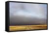 View of grassland habitat with stormclouds, Ol Pejeta Conservancy, Laikipia District, Kenya-Ben Sadd-Framed Stretched Canvas