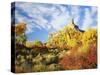 View of Gunnison Butte, Utah, USA-Scott T. Smith-Stretched Canvas