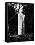 View of Gustav Mahler's Gravestone-null-Framed Stretched Canvas