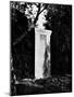 View of Gustav Mahler's Gravestone-null-Mounted Photographic Print