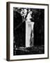 View of Gustav Mahler's Gravestone-null-Framed Photographic Print