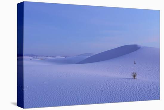 View of gypsum dunes at sunset, White Sands National Monument, New Mexico, USA-Mark Sisson-Stretched Canvas